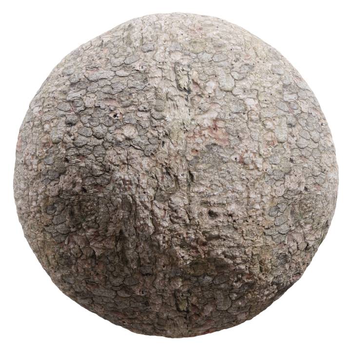 preview render of the free PBR material Bark 06 (cc0 texture)
