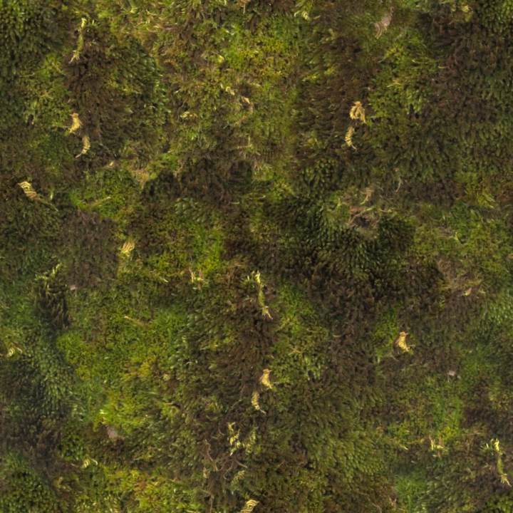 preview render of the free PBR material Moss 01 (cc0 texture)