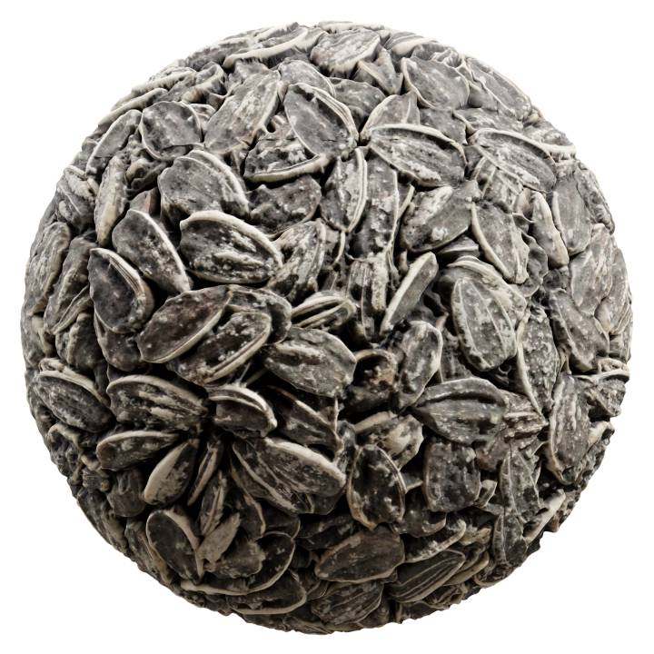 preview render of the free PBR material Sunflower Seeds 01 (cc0 texture)